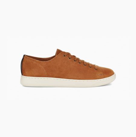 UGG Pismo Low Brown Sneakers for Men (OHJF65018)